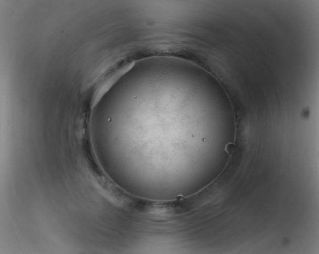 X0000116790746200912181253