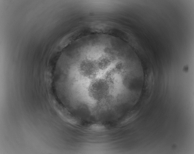 X0000116790749200912181253