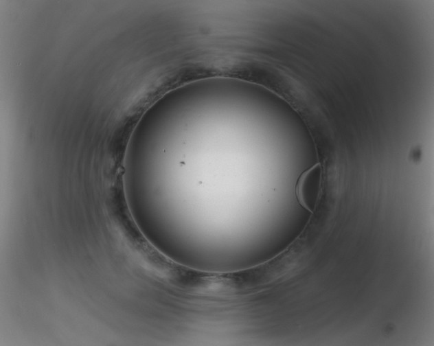 X0000116790750200912181253