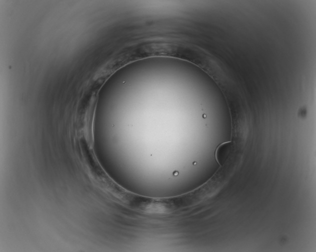 X0000116790751200912181253