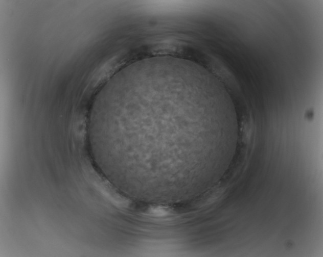 X0000116790753200912181253