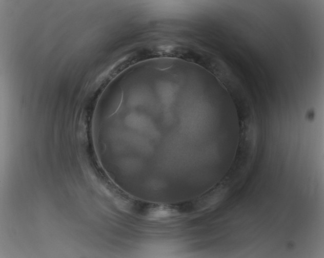 X0000116790754200912181253