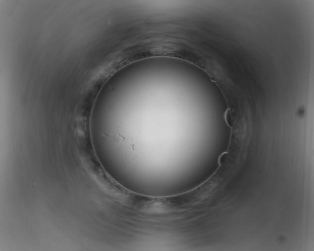 X0000116790755200912181253