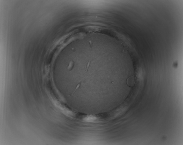 X0000116790759200912181253