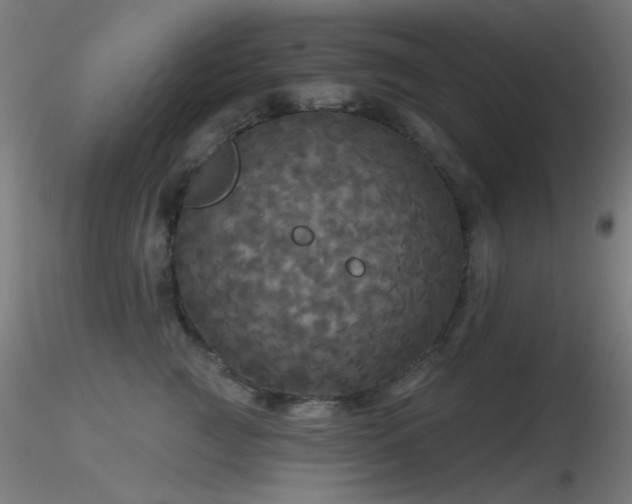 X0000116790761200912181254