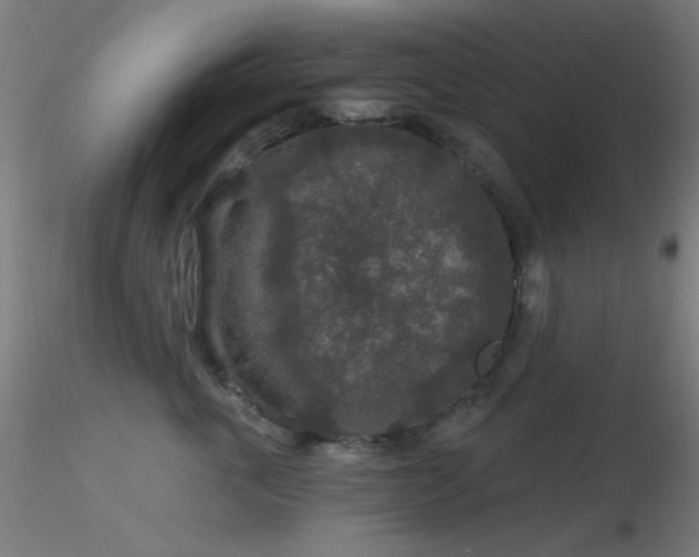 X0000116790763200912181254