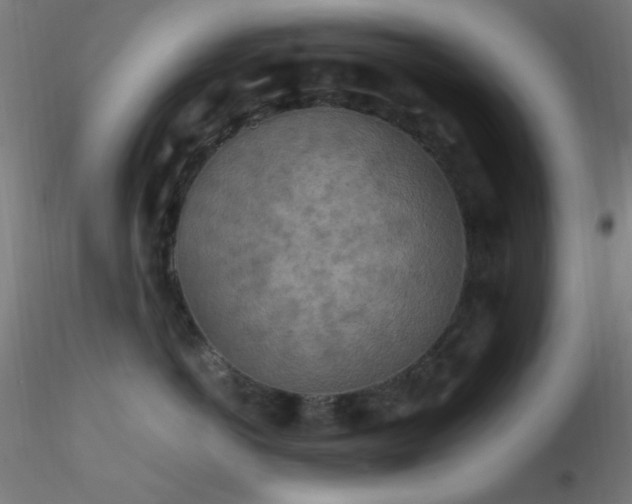 X0000116790766200912181254