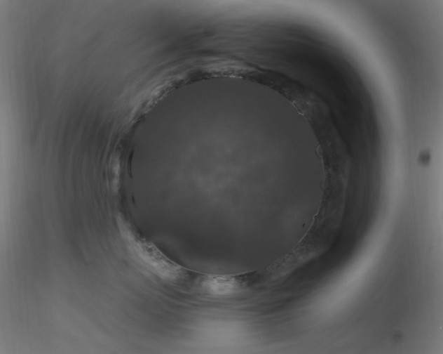X0000116790767200912181254