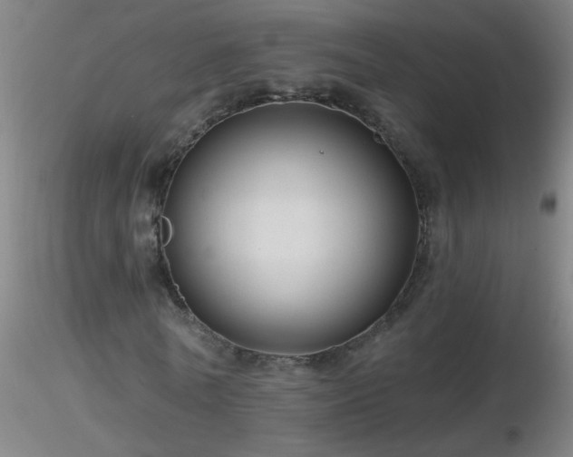 X0000116790770200912181253