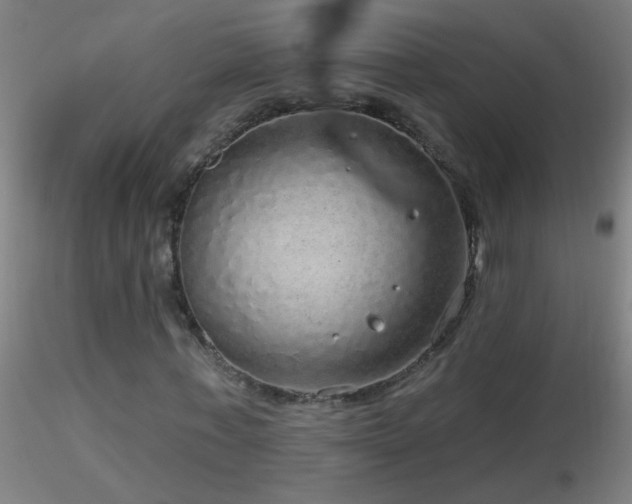 X0000116790771200912181253