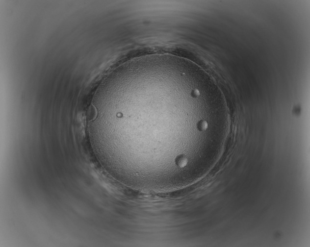 X0000116790772200912181253