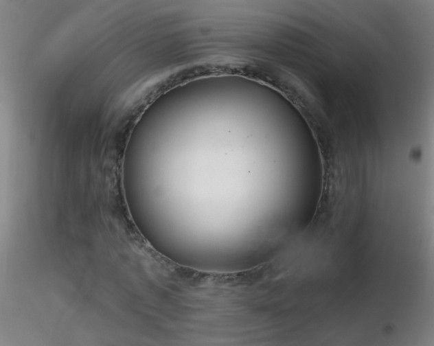 X0000116790773200912181253