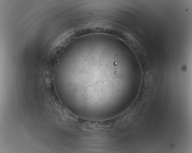 X0000116790774200912181253