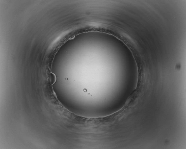 X0000116790776200912181253
