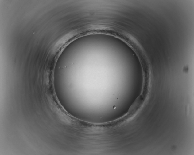 X0000116790777200912181253