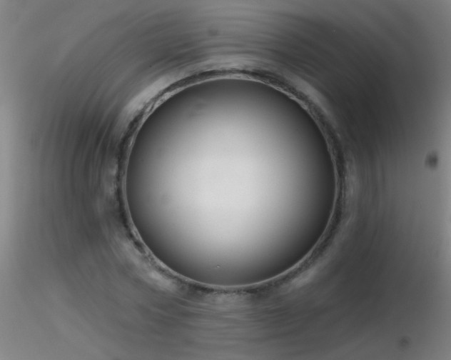 X0000116790778200912181253