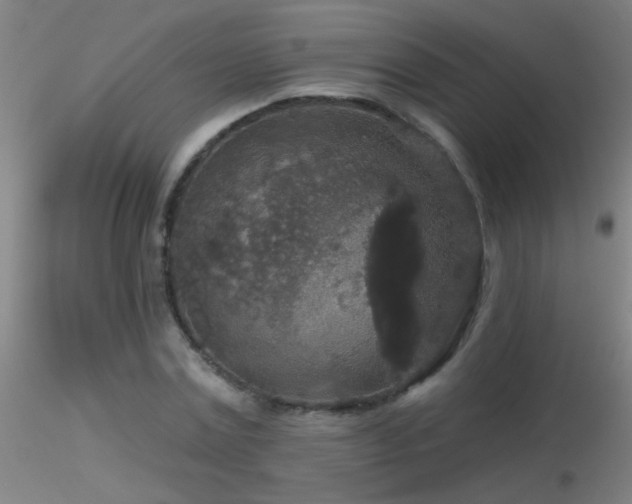 X0000116790779200912181253