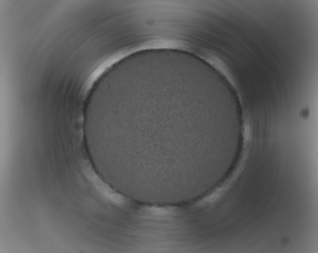 X0000116790781200912181253