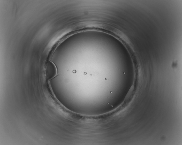 X0000116790782200912181253