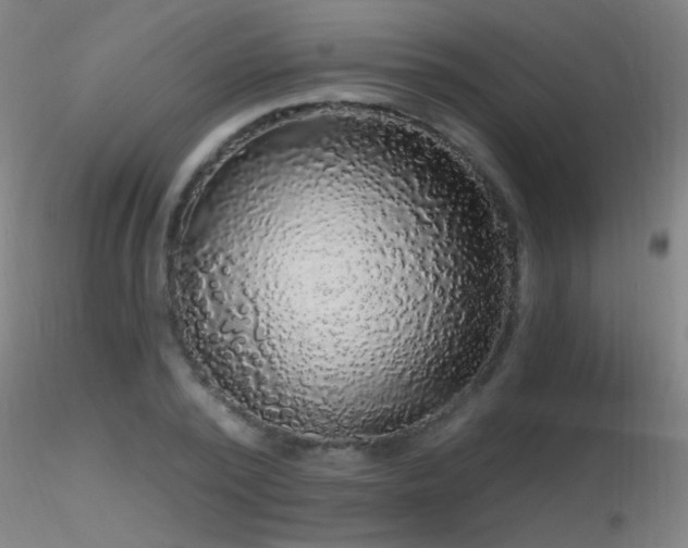 X0000116790784200912181253