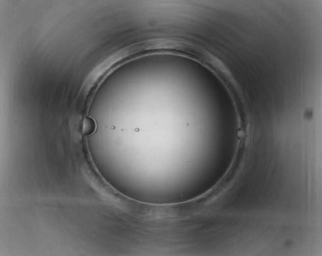 X0000116790786200912181253