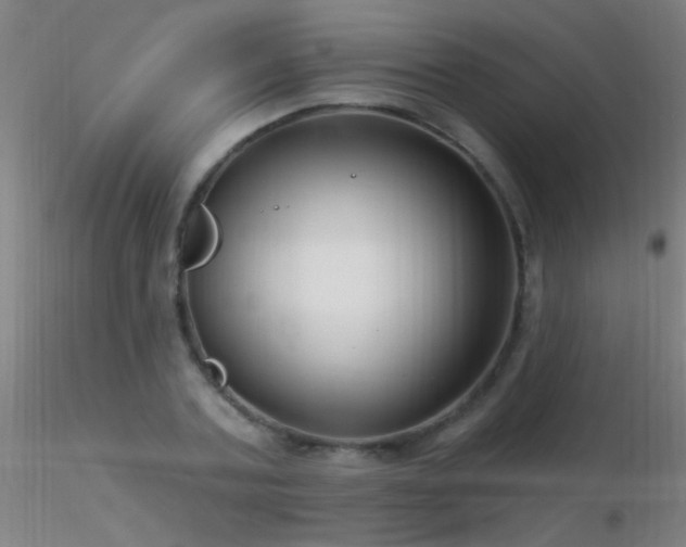 X0000116790787200912181253