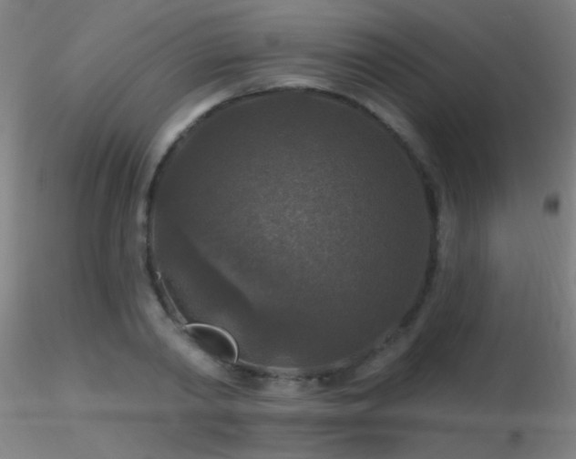 X0000116790790200912181253