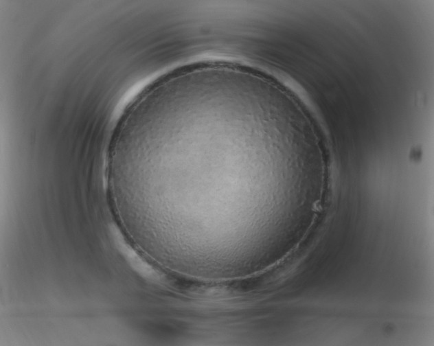 X0000116790791200912181253