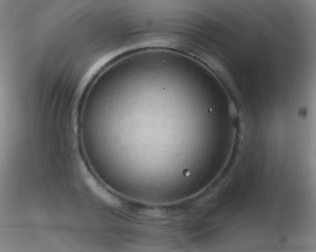X0000116790792200912181253