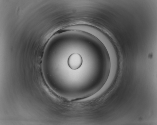 X0000116790793200912181253