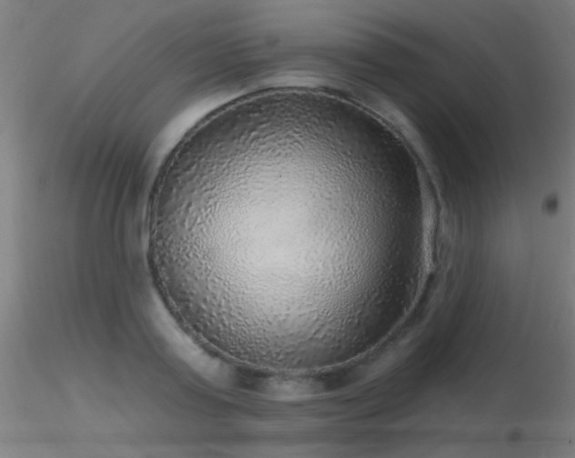 X0000116790795200912181253