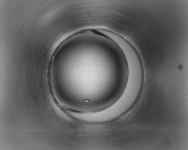 X0000116790797200912181253
