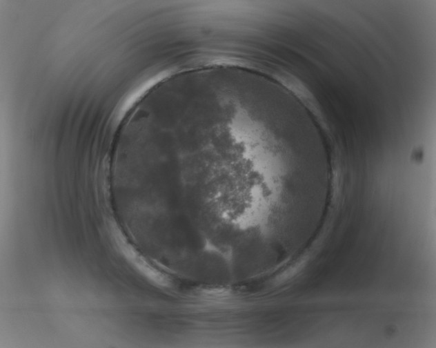 X0000116790798200912181253