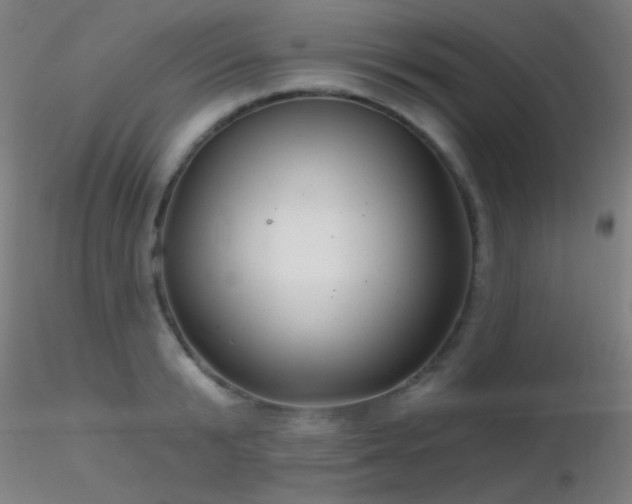 X0000116790799200912181253