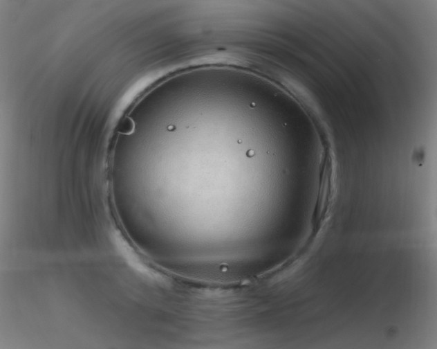 X0000116790800200912181253