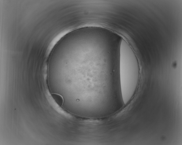 X0000116790804200912181252