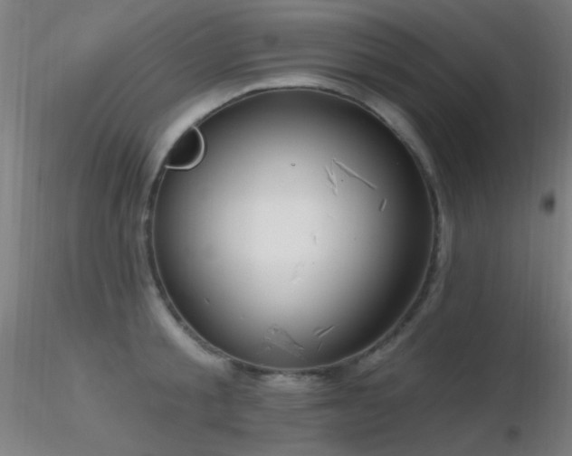 X0000116790805200912181252
