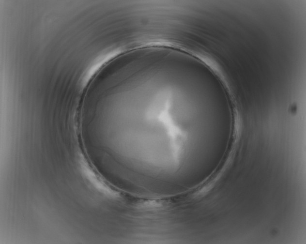 X0000116790806200912181252