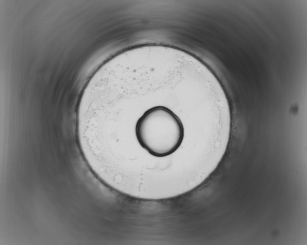 X0000116790807200912181252
