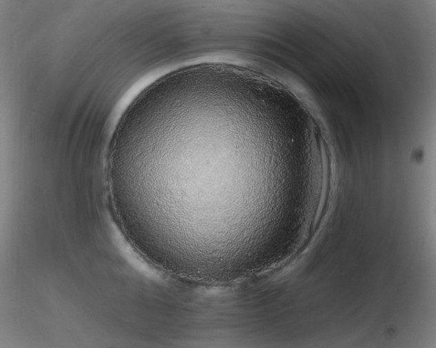 X0000116790808200912181252
