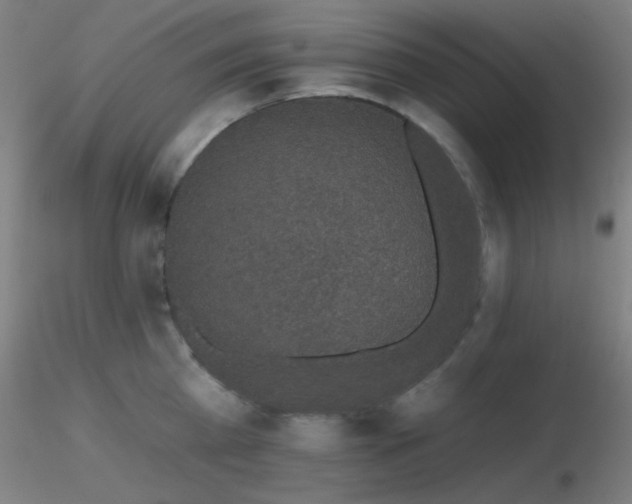X0000116790809200912181252