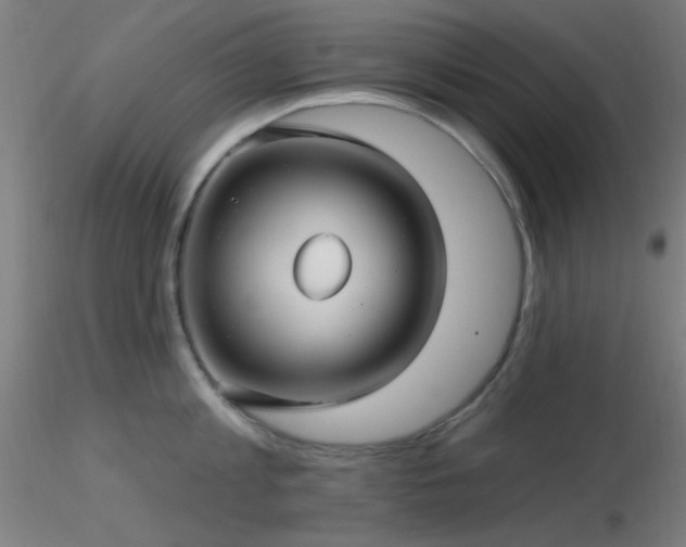 X0000116790813200912181252