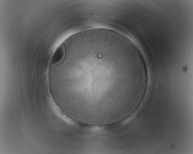 X0000116790814200912181252