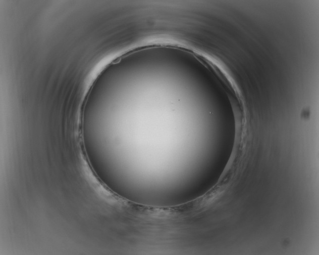 X0000116790815200912181252