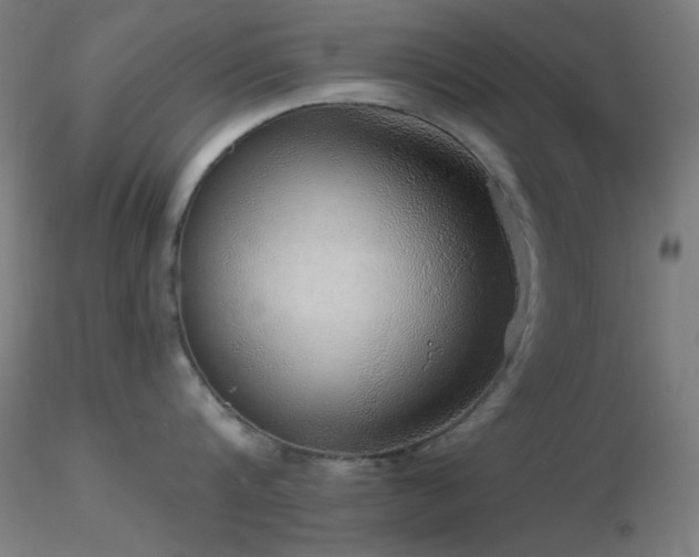 X0000116790816200912181252