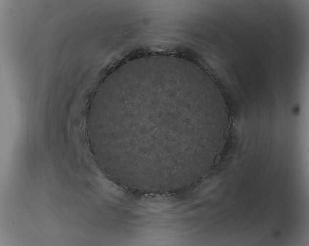 X0000116790817200912181251