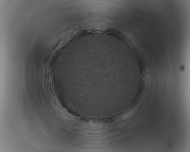 X0000116790818200912181251