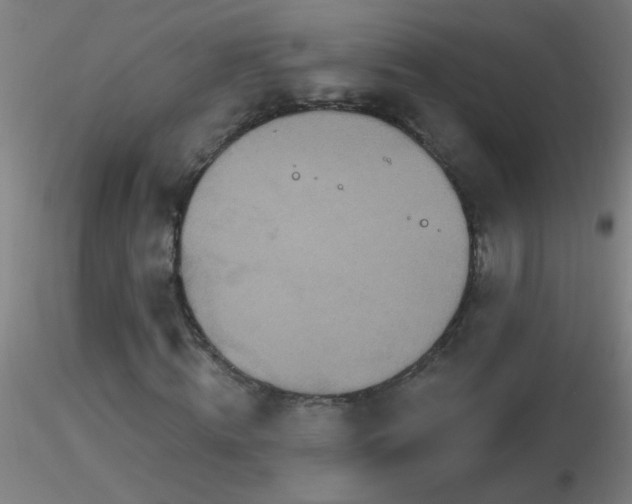X0000116790820200912181251