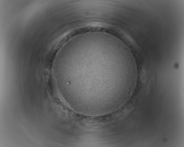 X0000116790821200912181251