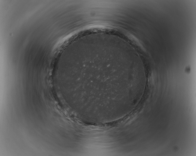 X0000116790822200912181251